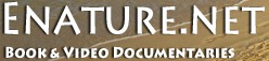 ENATURE.NET